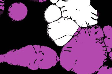 Hayattaki yaratıcı çizimler. Tasarımcılar için renkli ve güzel arkaplan modelleri.