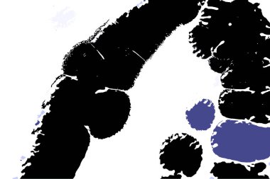 Hayattaki yaratıcı çizimler. Tasarımcılar için renkli ve güzel arkaplan modelleri.