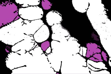 Hayattaki yaratıcı çizimler. Tasarımcılar için renkli ve güzel arkaplan modelleri.