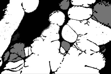 Hayattaki yaratıcı çizimler. Tasarımcılar için renkli ve güzel arkaplan modelleri.