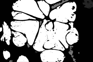 Hayattaki yaratıcı çizimler. Tasarımcılar için renkli ve güzel arkaplan modelleri.