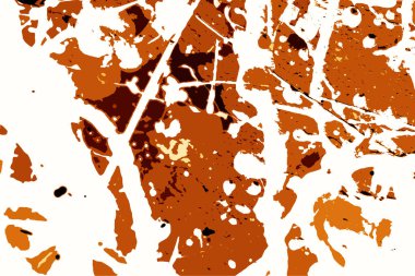 Hayattaki yaratıcı çizimler. Tasarımcılar için renkli ve güzel arkaplan modelleri.