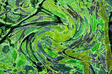 Modern soyut resim. Renkli akıcı sanat resimleri. Geometrik arkaplan.