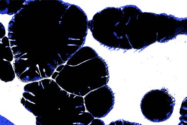 Hayattaki yaratıcı çizimler. Tasarımcılar için renkli ve güzel arkaplan modelleri.