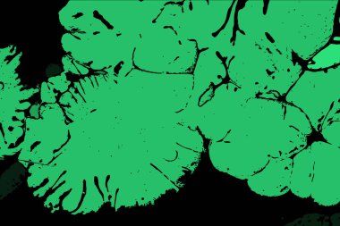 Hayattaki yaratıcı çizimler. Tasarımcılar için renkli ve güzel arkaplan modelleri.