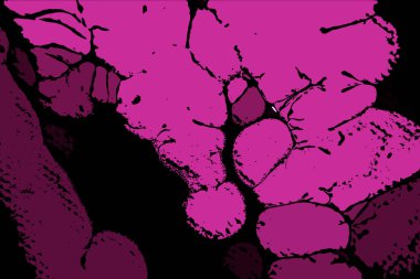 Hayattaki yaratıcı çizimler. Tasarımcılar için renkli ve güzel arkaplan modelleri.