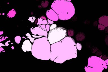 Hayattaki yaratıcı çizimler. Tasarımcılar için renkli ve güzel arkaplan modelleri.