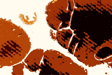 Hayattaki yaratıcı çizimler. Tasarımcılar için renkli ve güzel arkaplan modelleri.