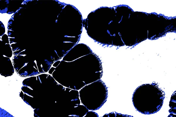 Hayattaki yaratıcı çizimler. Tasarımcılar için renkli ve güzel arkaplan modelleri.