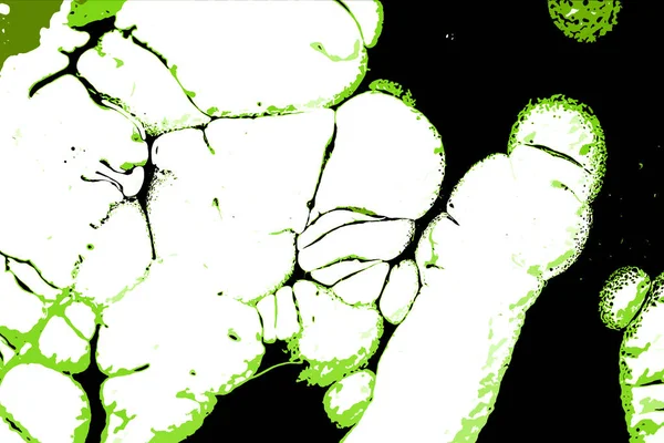 Hayattaki yaratıcı çizimler. Tasarımcılar için renkli ve güzel arkaplan modelleri.