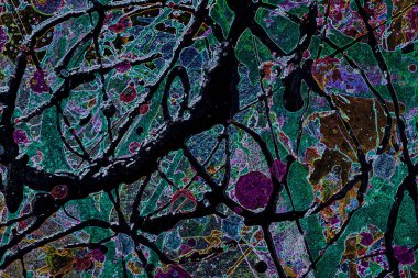 Modern soyut resim. Renkli akıcı sanat resimleri. Geometrik arkaplan.