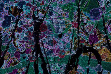 Modern soyut resim. Renkli akıcı sanat resimleri. Geometrik arkaplan.