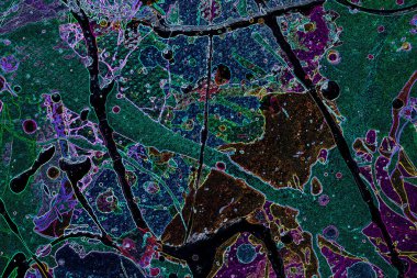 Modern soyut resim. Renkli akıcı sanat resimleri. Geometrik arkaplan.