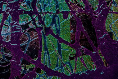 Modern soyut resim. Renkli akıcı sanat resimleri. Geometrik arkaplan.