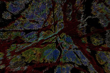 Modern soyut resim. Renkli akıcı sanat resimleri. Geometrik arkaplan.