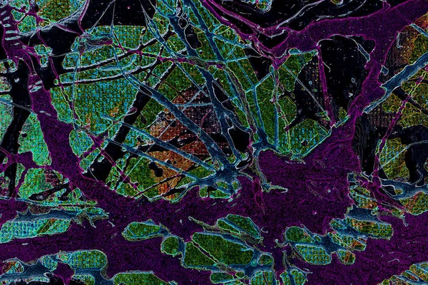 Modern soyut resim. Renkli akıcı sanat resimleri. Geometrik arkaplan.