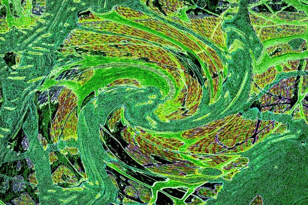 Modern soyut resim. Renkli akıcı sanat resimleri. Geometrik arkaplan.