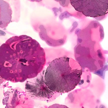 Modern tasarım çizimi. Çizgi ve renk bloğu geometrik şekiller. Pop sanat