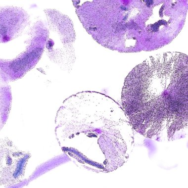 Modern tasarım çizimi. Çizgi ve renk bloğu geometrik şekiller. Pop sanat