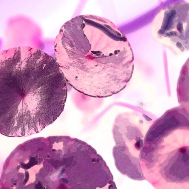 Modern tasarım çizimi. Çizgi ve renk bloğu geometrik şekiller. Pop sanat