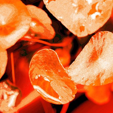 Modern tasarım çizimi. Çizgi ve renk bloğu geometrik şekiller. Pop sanat