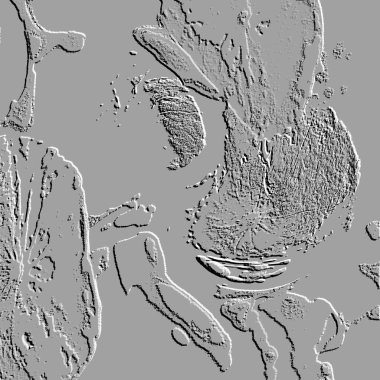 Seramik duvarın ve yerdeki fayansların dokusu. İç dekorasyon. 3 boyutlu grafikler için kusursuz doku haritası. Duvar kağıdı, tekstil, web sayfası arkaplanı.