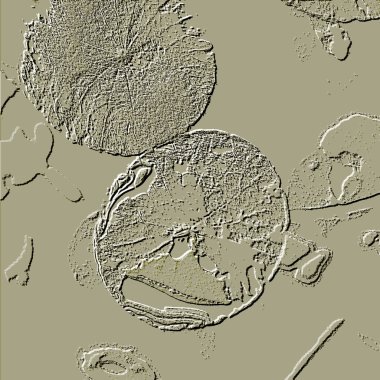 Seramik duvarın ve yerdeki fayansların dokusu. İç dekorasyon. 3 boyutlu grafikler için kusursuz doku haritası. Duvar kağıdı, tekstil, web sayfası arkaplanı.