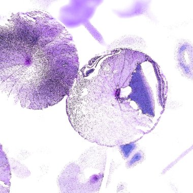 Modern tasarım çizimi. Çizgi ve renk bloğu geometrik şekiller. Pop sanat