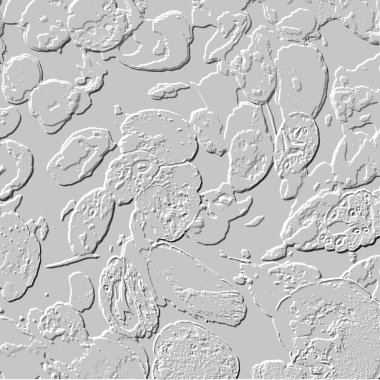 Seramik duvarın ve yerdeki fayansların dokusu. İç dekorasyon. 3 boyutlu grafikler için kusursuz doku haritası. Duvar kağıdı, tekstil, web sayfası arkaplanı.