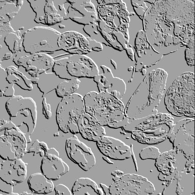 Seramik duvarın ve yerdeki fayansların dokusu. İç dekorasyon. 3 boyutlu grafikler için kusursuz doku haritası. Duvar kağıdı, tekstil, web sayfası arkaplanı.