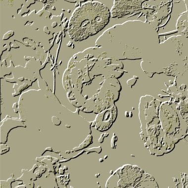 Seramik duvarın ve yerdeki fayansların dokusu. İç dekorasyon. 3 boyutlu grafikler için kusursuz doku haritası. Duvar kağıdı, tekstil, web sayfası arkaplanı.