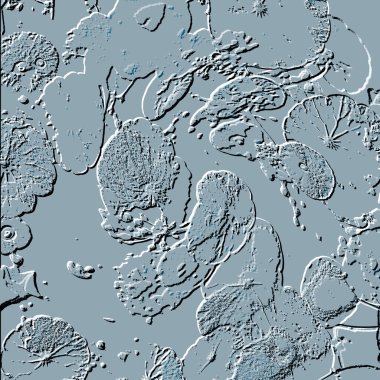 Seramik duvarın ve yerdeki fayansların dokusu. İç dekorasyon. 3 boyutlu grafikler için kusursuz doku haritası. Duvar kağıdı, tekstil, web sayfası arkaplanı.