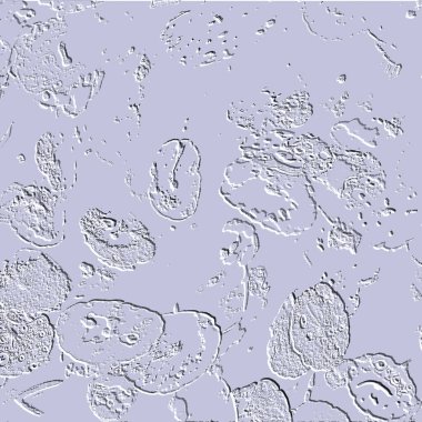 Seramik duvarın ve yerdeki fayansların dokusu. İç dekorasyon. 3 boyutlu grafikler için kusursuz doku haritası. Duvar kağıdı, tekstil, web sayfası arkaplanı.