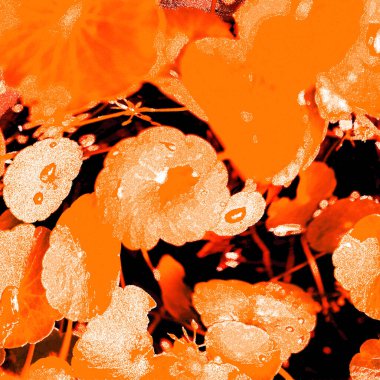 Modern tasarım çizimi. Çizgi ve renk bloğu geometrik şekiller. Pop sanat