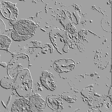 Seramik duvarın ve yerdeki fayansların dokusu. İç dekorasyon. 3 boyutlu grafikler için kusursuz doku haritası. Duvar kağıdı, tekstil, web sayfası arkaplanı.