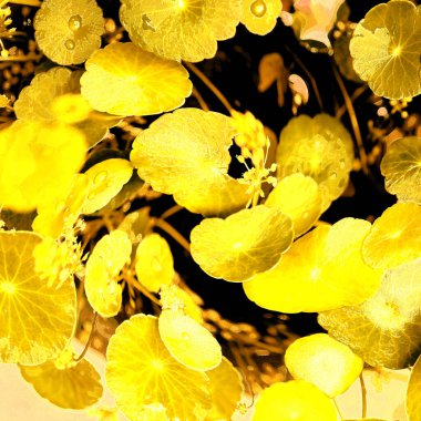 Modern tasarım çizimi. Çizgi ve renk bloğu geometrik şekiller. Pop sanat