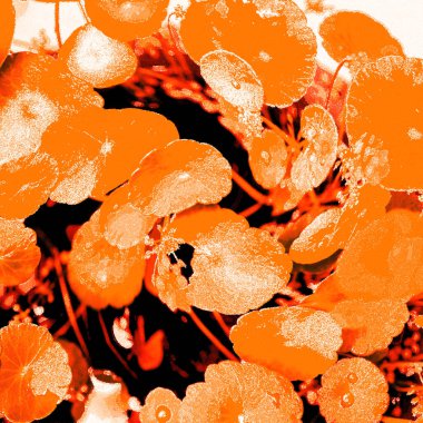 Modern tasarım çizimi. Çizgi ve renk bloğu geometrik şekiller. Pop sanat