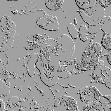 Seramik duvarın ve yerdeki fayansların dokusu. İç dekorasyon. 3 boyutlu grafikler için kusursuz doku haritası. Duvar kağıdı, tekstil, web sayfası arkaplanı.