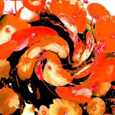 Modern tasarım çizimi. Çizgi ve renk bloğu geometrik şekiller. Pop sanat