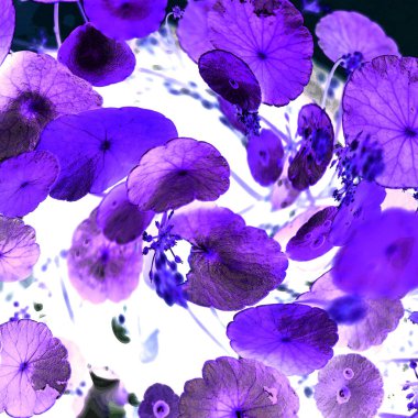 Modern tasarım çizimi. Çizgi ve renk bloğu geometrik şekiller. Pop sanat