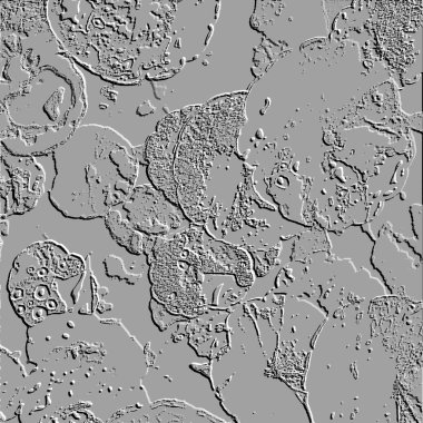 Seramik duvarın ve yerdeki fayansların dokusu. İç dekorasyon. 3 boyutlu grafikler için kusursuz doku haritası. Duvar kağıdı, tekstil, web sayfası arkaplanı.