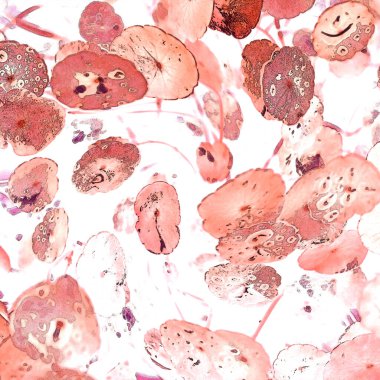 Modern tasarım çizimi. Çizgi ve renk bloğu geometrik şekiller. Pop sanat