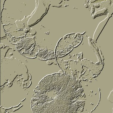 Seramik duvarın ve yerdeki fayansların dokusu. İç dekorasyon. 3 boyutlu grafikler için kusursuz doku haritası. Duvar kağıdı, tekstil, web sayfası arkaplanı.