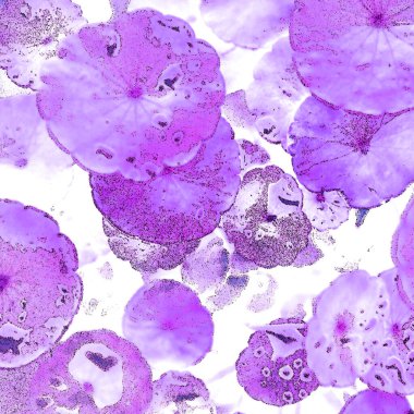 Modern tasarım çizimi. Çizgi ve renk bloğu geometrik şekiller. Pop sanat