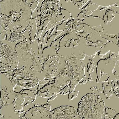 Seramik duvarın ve yerdeki fayansların dokusu. İç dekorasyon. 3 boyutlu grafikler için kusursuz doku haritası. Duvar kağıdı, tekstil, web sayfası arkaplanı.