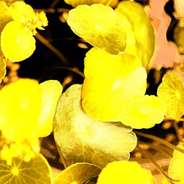 Modern tasarım çizimi. Çizgi ve renk bloğu geometrik şekiller. Pop sanat