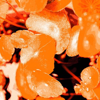 Modern tasarım çizimi. Çizgi ve renk bloğu geometrik şekiller. Pop sanat