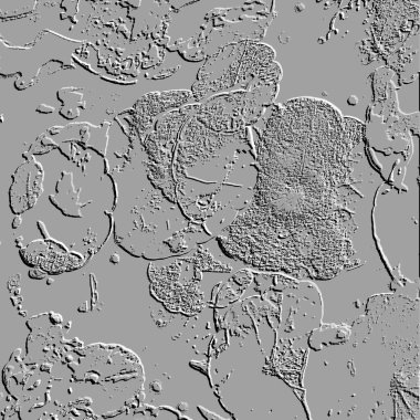 Seramik duvarın ve yerdeki fayansların dokusu. İç dekorasyon. 3 boyutlu grafikler için kusursuz doku haritası. Duvar kağıdı, tekstil, web sayfası arkaplanı.