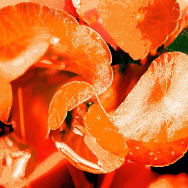 Modern tasarım çizimi. Çizgi ve renk bloğu geometrik şekiller. Pop sanat