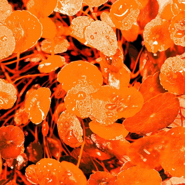 Modern tasarım çizimi. Çizgi ve renk bloğu geometrik şekiller. Pop sanat